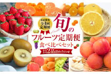 【年4回定期便(2月・5月・8月・11月配送)】旬のフルーツ定期便 食べ比べセット 季節により厳選した果物を2品目詰め合わせ ／ 果物 くだもの 長崎県 長崎市