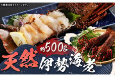 【指定日必須】 長崎の海で獲れた『天然伊勢海老』 約500g ／ 魚 魚介類 天然 伊勢海老 伊勢エビ イセエビ 海老 お刺身 湯引き 冷蔵  【2025年9月13日～10月14日迄発送予定】 