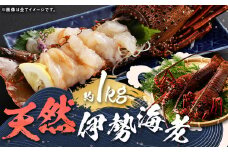 【指定日必須】 長崎の海で獲れた『天然伊勢海老』 約1kg ／ 魚 魚介類 天然 伊勢海老 イセエビ 海老 お刺身 湯引き 冷蔵 【2025年9月13日-10月14日迄発送予定】
