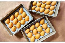 【大人気！】 びわ L＆Mサイズ おまかせ 計3箱 【2025年5月下旬～6月下旬迄発送予定】 枇杷 果物 果実 フルーツ 九州 長崎県 長崎市 常温