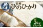 無洗米 長崎 ひのひかり 計5kg（2.5kg×2袋）