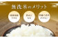 無洗米 長崎 ひのひかり 計10kg 
