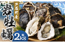 【指定日時必須】戸石町産 岩牡蠣 計約2kg（生食用／カキナイフ付き）【2025年5月8日～9月21日迄発送予定】 牡蠣 カキ イワガキ 生牡蠣 長崎県 長崎市