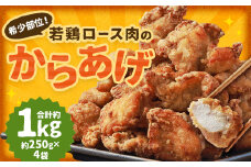 【レンジで簡単調理】希少部位！国産の若鶏ロース肉のからあげ 約1kg（約250g×4袋） ／ 国産鶏 お肉 肉 惣菜 1000g 鶏ロース肉 ロース肉 鶏 ロース 唐揚げ レンチン 時短 長崎県 長崎市