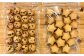 プレーン＆チョコチップクッキーのセット 各24枚入り