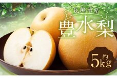 豊水梨 5kg  【2025年8月下旬～9月上旬迄発送予定】 ／ 梨 なし 和梨 果物 果実 フルーツ 国産 九州 長崎県 長崎市 常温 オンライン決済限定