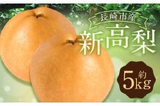 新高梨 5kg 【2025年9月上旬～10月上旬迄発送予定】 梨 なし 和梨 果物 果実 フルーツ 国産 九州 長崎県 長崎市 常温 オンライン決済限定