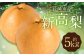新高梨 5kg