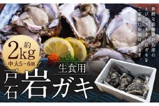 戸石岩ガキ 生食用 約2kg （中大5～6個） オイスターナイフ付き 岩牡蠣 岩ガキ 牡蠣 カキ 生食 貝 貝類 海鮮 九州 長崎県 長崎市 冷蔵