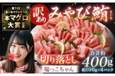 【訳あり】みやび鮪 切り落とし 端っこちゃん 計約400g（約100g×4） 4～5人前 ／ マグロ 鮪 トロ 本鮪 本マグロ 本まぐろ 冷凍まぐろ 冷凍鮪 まぐろ 赤身 トロ 鮪赤身 鮪トロ 国産鮪 国産まぐろ 切落し きりおとし 魚 海鮮 刺身 刺し身 冷凍 長崎 長崎県 長崎市