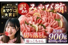 【訳あり】みやび鮪 切り落とし 端っこちゃん 計約900g（約100g×9） 9～10人前 ／ マグロ 鮪 トロ 本鮪 本マグロ 本まぐろ 冷凍まぐろ 冷凍鮪 まぐろ 赤身 トロ 鮪赤身 鮪トロ 国産鮪 国産まぐろ 切落し きりおとし 魚 海鮮 刺身 刺し身 冷凍 長崎 長崎県 長崎市