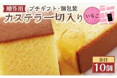 【20営業日以内発送】いちご 個包装 10個（各38ｇ） カステラ一切れ入り ギフト用 贈答用 合計380g ／ いちご 長崎カステラ カステラ お菓子 菓子 スイーツ お祝い お返し お土産