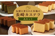 【7営業日以内発送】【伝統に育まれた本場の長崎カステラ】 Aセット （個包装タイプ） （出島珈琲 ・ 檸檬 ・ あまおう苺 ・ ハニー ・ 抹茶） ／ 菓秀苑 森長 カステラ 和菓子 菓子 お菓子 スイーツ デザート 個包装 セット 九州 長崎県 長崎市 常温 