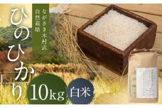 ながさき木村式自然栽培 令和7年産 ひのひかり 白米 10kg 【2025年10月上旬～2026年5月下旬迄発送予定】 ／ 10キロ ヒノヒカリ お米 米 精米 国産 九州 長崎県 長崎市