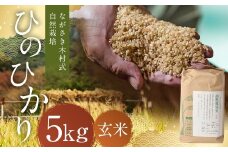 ながさき木村式自然栽培 令和7年産 ひのひかり 玄米 5kg 【2025年10月上旬～2026年5月下旬迄発送予定】 ／ 5キロ ヒノヒカリ お米 米 国産 九州 長崎県 長崎市