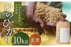 ながさき木村式自然栽培 令和7年産 ひのひかり 玄米 10kg 【2025年10月上旬～2026年5月下旬迄発送予定】 ／ 10キロ ヒノヒカリ お米 米 国産 九州 長崎県 長崎市