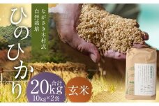ながさき木村式自然栽培 令和7年産 ひのひかり 玄米 20kg 【2025年10月上旬～2026年5月下旬迄発送予定】 ／ 20キロ ヒノヒカリ お米 米 国産 九州 長崎県 長崎市