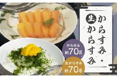 【長崎の伝統と発祥の味】 からすみ 70g + 生からすみ 70g 詰合せ （合計140g） カラスミ 生カラスミ 魚卵 つまみ 鰡 ボラ ぼら 珍味 詰め合わせ セット 九州 長崎県 長崎市 冷蔵