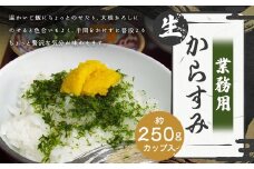 【発祥の味】 生からすみ 業務用 250g カップ入り からすみ カラスミ 魚卵 つまみ 鰡 ボラ ぼら 珍味 九州 長崎県 長崎市 冷蔵