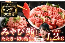 本マグロ大賞受賞 みやび鮪 たたき 約600g （約6～7人前） ・ 【訳あり】 みやび鮪 切り落とし 端っこちゃん 約600g （約6～7人前） 合計約1.2kg 訳アリ わけあり 理由あり 鮪 まぐろ 本マグロ 本鮪 本まぐろ タタキ トロ 魚 九州 長崎県 長崎市 冷凍