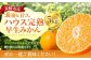 先行予約 ハウス完熟早生みかん 約5キロ箱 フルーツ 果物 くだもの ミカン