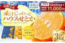 【期間限定！～12月31日まで寄附額改定中】ハウスせとか 3kg 8～15玉 化粧箱セット 【2026年2月下旬-3月下旬迄発送予定】 ／ フルーツ 果物 くだもの ミカン みかん 野中果樹園 オンライン決済限定 アフター保証 長崎県 長崎市