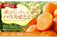 ハウスせとか 3kg 8～15玉 化粧箱セット
