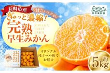 先行受付 完熟 早生みかん 約5kg箱 ／ 期間限定 柑橘 ミカン フルーツ 果物 くだもの みかん ミカン 野中果樹園 オンライン決済限定 アフター保証 長崎県 長崎市 【2025年11月下旬～12月下旬迄発送予定】