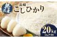 【無洗米】長崎 こしひかり 計20kg（5kg×4袋）