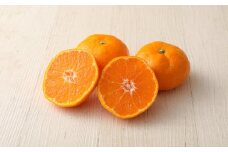 長崎県産 温州みかん 5kg (個数・サイズ おまかせ) ／ フルーツ 果物 くだもの 果実 ミカン 蜜柑 柑橘 長崎県 長崎市 川口農園 アフター保証 【2025年10月上旬～2026年1月下旬迄発送予定】