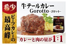 E229p 【2024北野エースカレー大賞受賞】【驚きの肉量】牛テールカレー ゴロット 3個セット 【豊味館】感動のやわらかさ Gorotto 長崎 佐世保 九州 レトルトカレー ビーフカレー