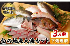A198p 五島列島旬の地魚大漁セット(約3人前)
