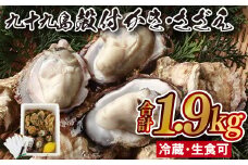 A156p 九十九島殻付かき･さざえ