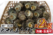 A157p 九十九島さざえ