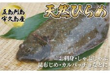 A194p 五島列島天然ひらめ