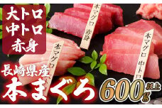 A121p 長崎県産 本マグロ (大トロ・中トロ・赤身)  計600g以上 海鮮丼のタレ付き 真空パック後に超速冷凍【本家永松家】マグロ まぐろ 鮪 大トロ 大とろ 中トロ 中とろ 赤身 刺身 海鮮丼