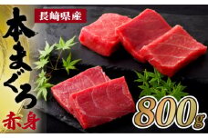 A206p 長崎県産本まぐろ赤身(養殖)