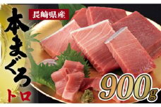 A207p 特選長崎県産本まぐろトロセット(養殖)