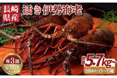 A109a 年3回お届け長崎県産活き伊勢海老