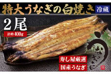 A384p 寿し屋厳選!特大うなぎの白焼き(国産)