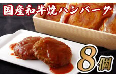 B111p 国産和牛焼ハンバーグ
