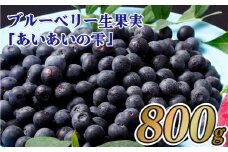 C151p ブルーベリー生果実｢あいあいの雫｣800g　生 ベリー 果物 フルーツ デザート スイーツ ジャム 