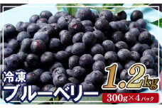 C152a 冷凍ブルーベリー ｢あいあいの雫｣ 計1.2kg (300g×4P) ジップ付き小分け【堀内フルーツファーム】パウチ袋 果物 ブルーベリー フルーツ 小分け 長崎 佐世保 九州 冷凍 国産