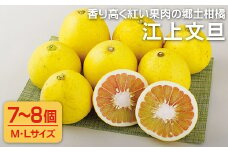 C177p 香り高く紅い果肉の郷土柑橘｢江上文旦｣