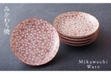 G103p 〈陶房義窯〉赤絵桜づめ豆皿5枚組