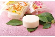G282p 生きとる石鹸(善玉菌でお肌をきれいに)