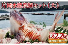 A117p 片岡水産真鯛セット(大)