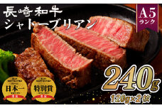 B167p 長崎和牛 A5等級 シャトーブリアン ステーキ 240g (120g×2枚) のし 包装 贈答 お中元 お歳暮 ギフト