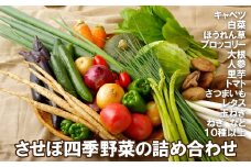 C226p させぼ四季野菜の詰め合わせ