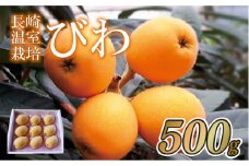 C153p 長崎温室栽培びわ(2L･Lサイズ500g)